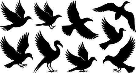 Obraz premium eagle vector set