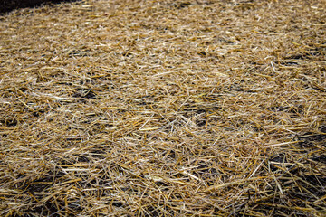 erosion control blanket of straw over soil abstract background with copy space. landscape and construction banner or design element.