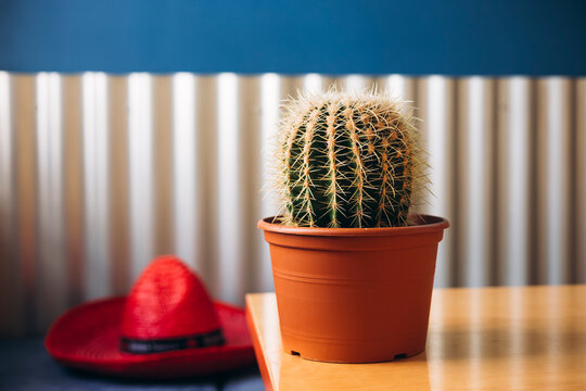 Fototapeta Mexican decor with cactus and sombrero