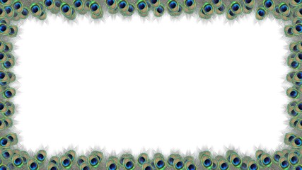 beautiful peacock feathers decoration frame on white background. concept for janmashtami festival.