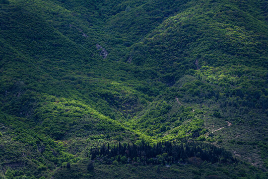 Greater Caucasus seen from Alazani Valley in Kakheti
