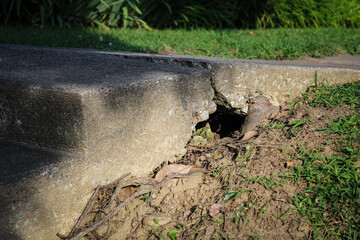 Obraz premium a concrete sidewalk with a crack, revealing a void below by the ground area. 