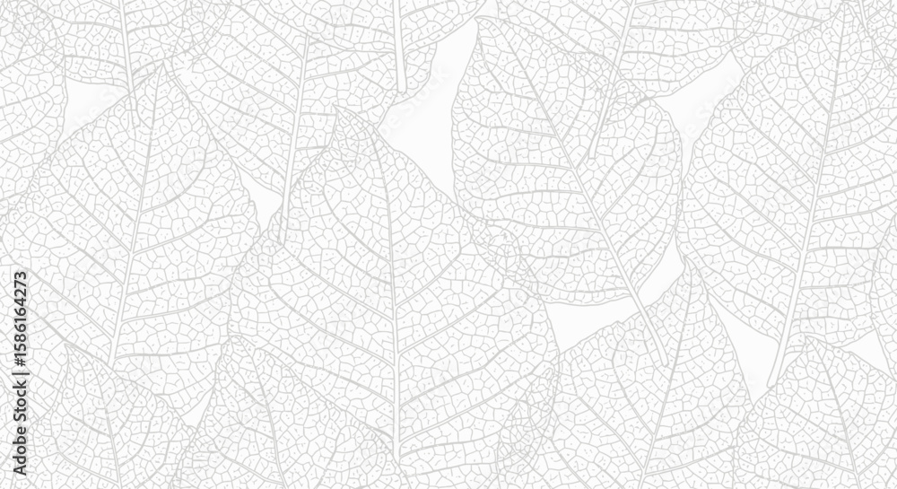 Poster delicate leaf vein pattern elegant botanical background for design projects and creative composition