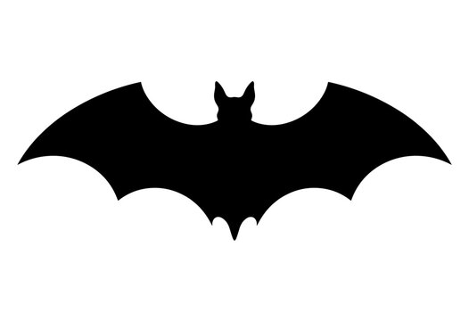 Black bat silhouette for Halloween decoration concept  