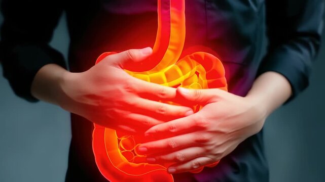 Bowel imagery: gut section, intestinal outline, abdominal system, organ capture, colon snapshot, internal lens, diagnostic survey, digestive view, tissue layer, health indicator, clinical reveal.