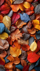 Colorful autumn leaves create vibrant natural tapestry