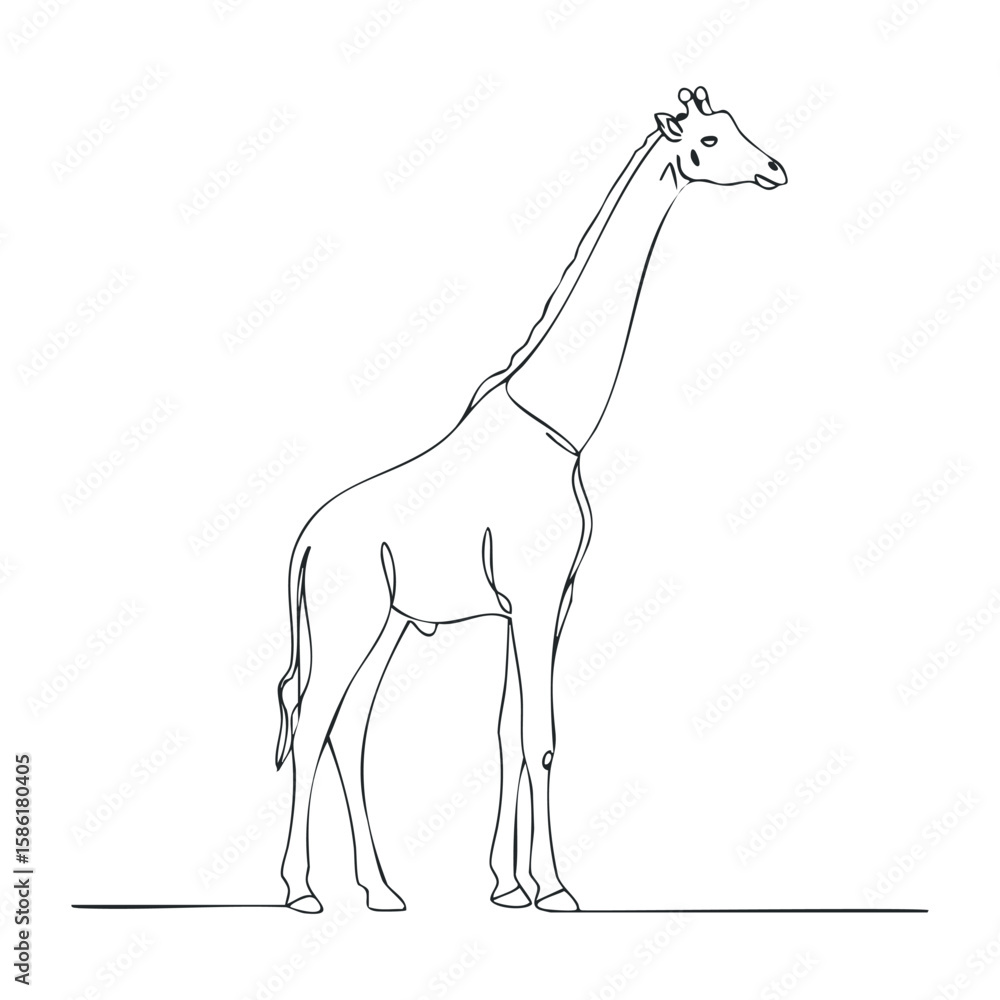 Poster continuous line drawing of giraffe in minimalistic style on white background. outline vector illustr