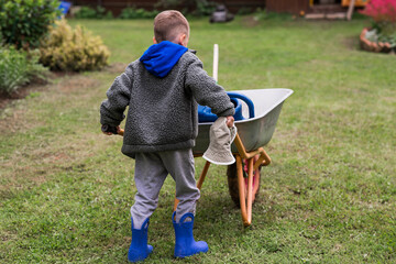 A cute boy with a garden wheelbarrow in the backyard of a house. The concept of gardening, country...