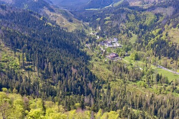 mountain landscape with valley in Zakopane - Lesser Poland - Poland