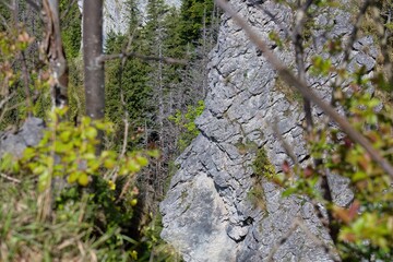 A landscape whit a gray, rocky cliff with sparse greenery. The shot is taken from a high angle, offering a close-up of the stone in Zakopane - Lesser Poland - Poland