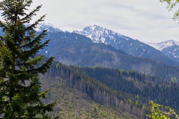 snow covered mountains in Zakopane - Lesser Poland - Poland