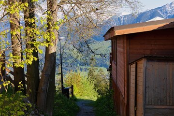 view of the mountains from between the tree and the wooden shop in Zakopane - Lesser Poland - Poland