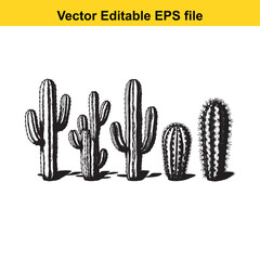 A hand-drawn vector illustration featuring a variety of cactus species, some with delicate flowers, presented as an outline.