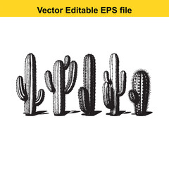 A hand-drawn vector illustration featuring a variety of cactus species, some with delicate flowers, presented as an outline.