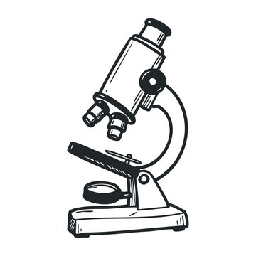 Vintage scientific microscope sketch with detailed components. Hand drawn vector illustration