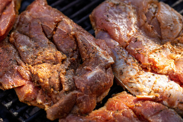 Pork chops, steak, sausages on barbecue grill