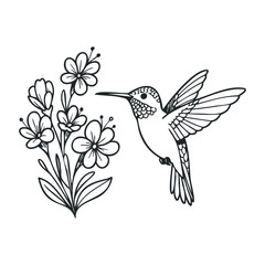 Obraz premium Hummingbird with flowers line art: detailed illustration of nature's grace. Hand drawn vector illustration