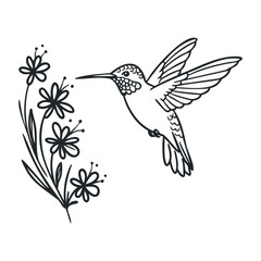 Obraz premium Hummingbird illustration with delicate flowers in black and white line art design. Hand drawn vector illustration