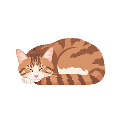 An orange tabby cat with stripes is curled up and sleeping peacefully on a white background.
