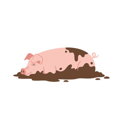 A contented pig lies in mud, enjoying a relaxing and dirty moment.