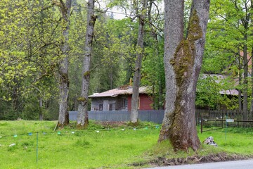 A rustic cabin sits behind trees in a lush, green meadow in Zakopane - Lesser Poland - Poland