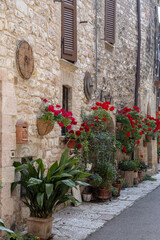 Typical narrow medieval Assisi street with warm stone facades, flower pots, and spiritual stillness, Assisi, Italy.