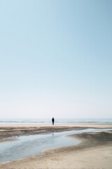 Midday beach landscape with a person walking along the shoreline Generative AI