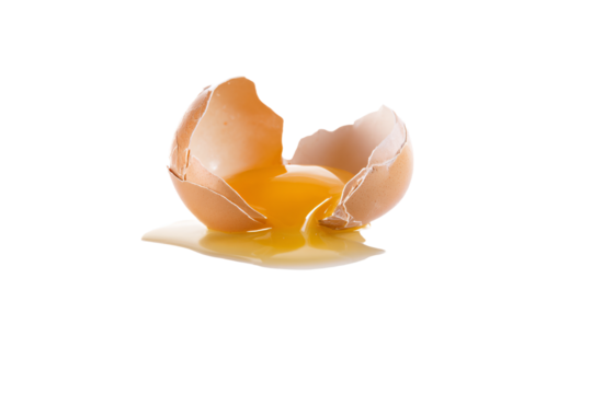 a broken egg shell with a piece of it