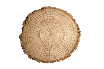 a wooden slice with a circular pattern on it