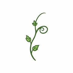 Curling green vine with leaves on a plain white background  