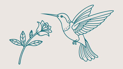 Fototapeta premium Teal Line Drawing Hummingbird Flower Feeding line art