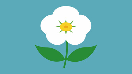 Obraz premium Flat Vector Illustration White Cherokee Rose Blossom Yellow Center Green Leaves Teal Background 1