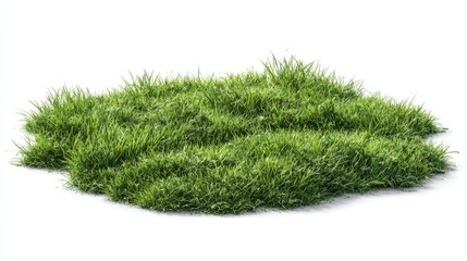 Patch of fresh green lawn grass, cut out
