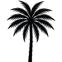 Black Silhouette of a Detailed Palm Tree with Defined Fronds and Textured Trunk