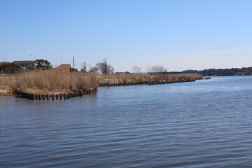 edge of a lake with dry bushes that transmits a feeling of tranquility when observed