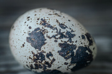 A macro shot capturing the detailed texture and mottled pattern of a quail eggshell, showing the natural pigmentation and fine surface cracks.