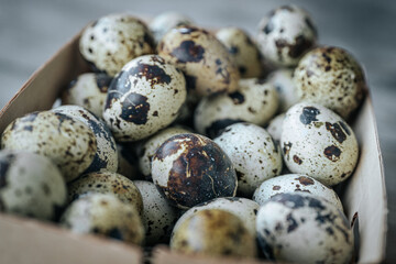 A cardboard container filled with colorful quail eggs in natural colors, with a shallow depth of...