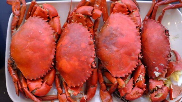 Four red crabs are sitting on a white plate. The crabs are all different sizes and are arranged in a row. The plate is placed on a table, and the crabs are ready to be eaten