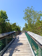Wooden trail in long key state park, Miami, Florida