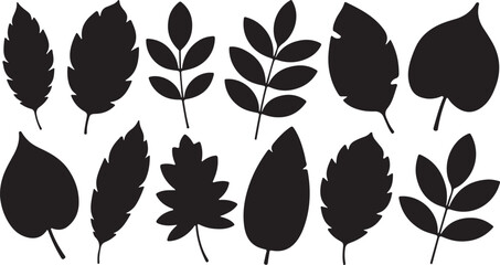 Obraz premium Black Leaf Silhouettes on White Background Various Leaf Shapes and Designs for Nature Themes