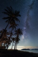 Midnight summer beach landscape with the Milky Way over calm waters Generative AI