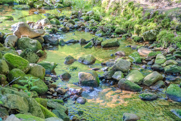 Harrachov- Czech- 26 June 2025: mountain river with waterfall in the forest, summer