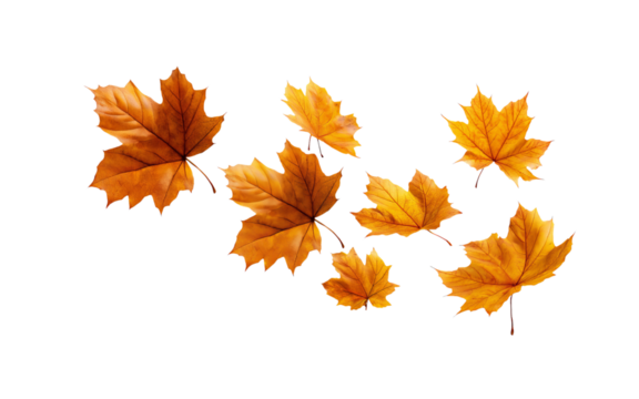 A set of autumn maple leaves falling in the air, isolated on a transparent background in PNG format. - Powered by Adobe