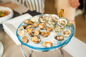 oyster display