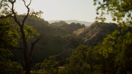 morning in the mountains