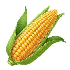 Obraz premium A fresh cob of yellow corn with green leaves isolated on white transparent background