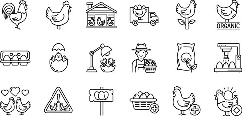 Organic chicken farm icons collection with rooster, hen, eggs, hatchery, poultry farm truck, fresh organic food production illustration