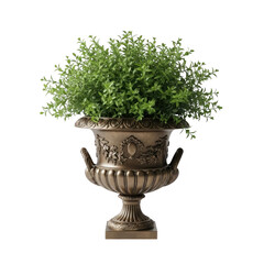 Ornamental plant in golden vase isolated on transparent background