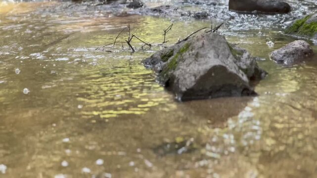 A Stream r Creek Flowing Through The Woods