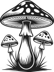 Mushroom, whimsical fungi, natural growth, outdoor scenes, organic shapes, forest elements, enchanting flora, nature artwork, inspiration for designs